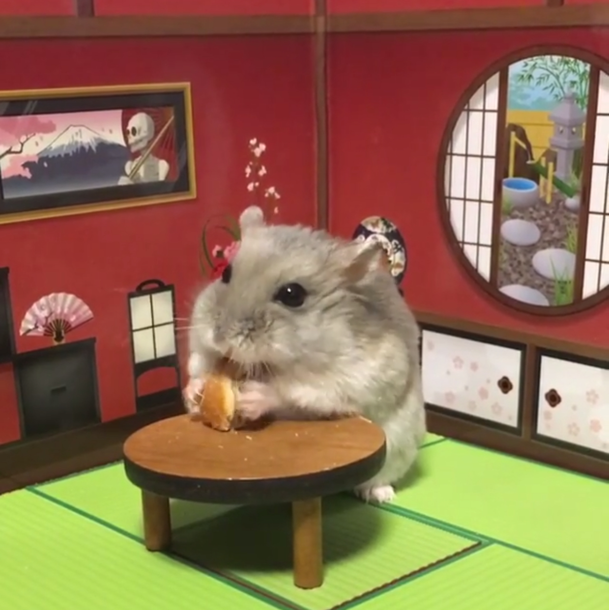 으나쨔응 프로필