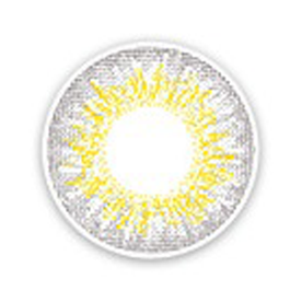 렌즈스토리 브랜드의 제품 트웬티 마이 그레이