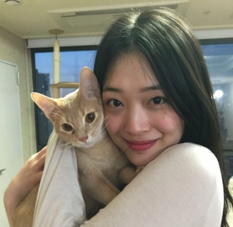 다이도라 프로필