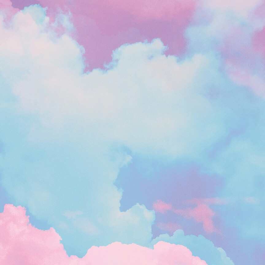 정택운_모카 프로필