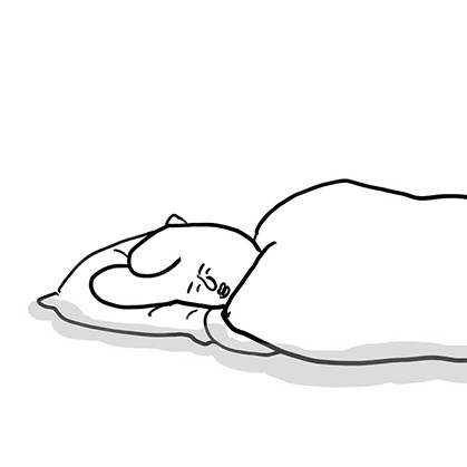 연띠공쥬 프로필