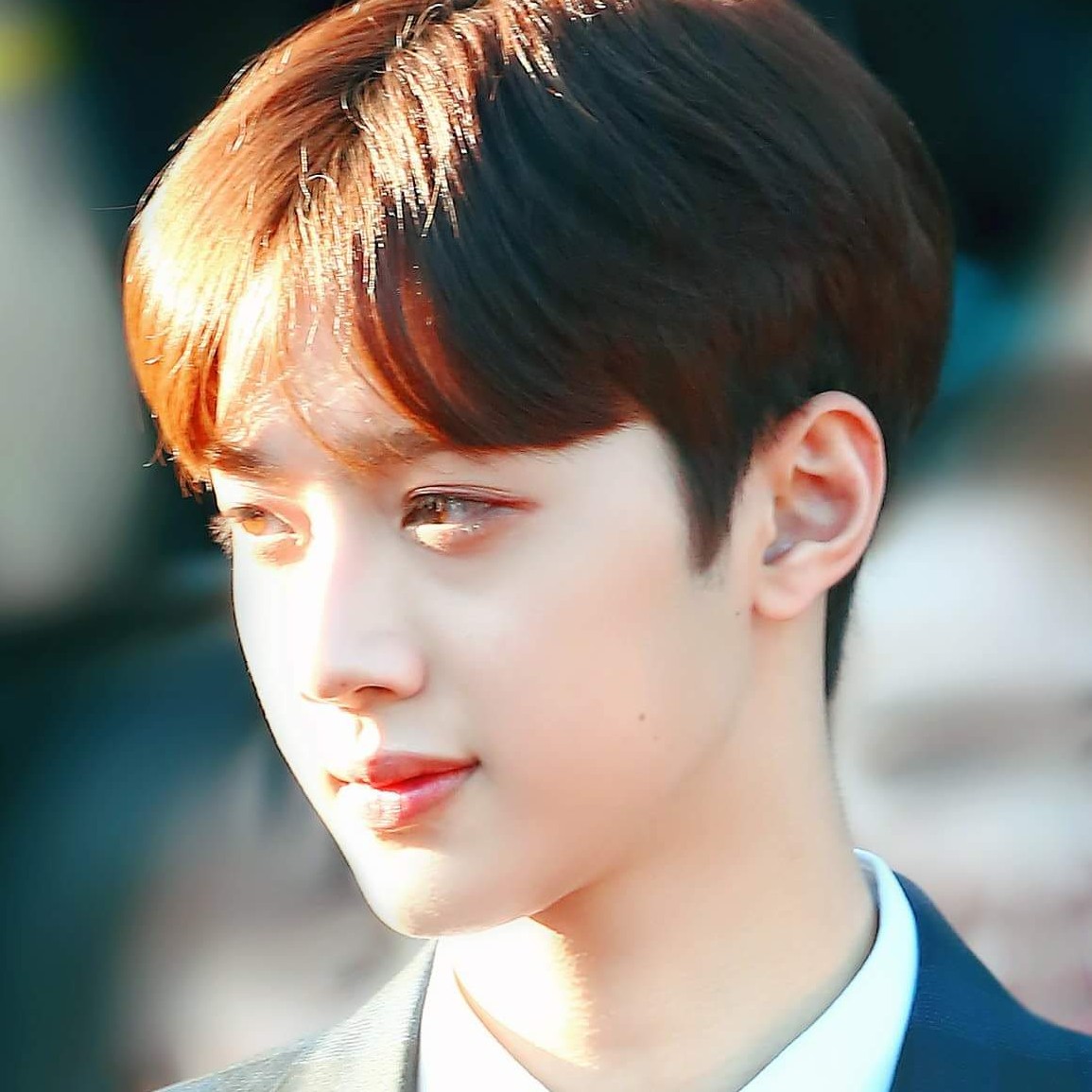 ,., 프로필