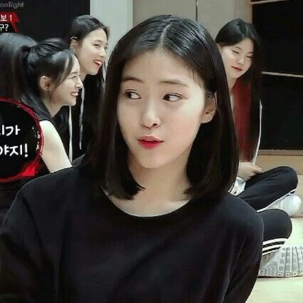 웨그레? 프로필
