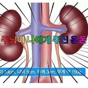 윤밥톨 프로필