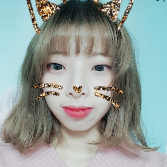 진저태비 프로필