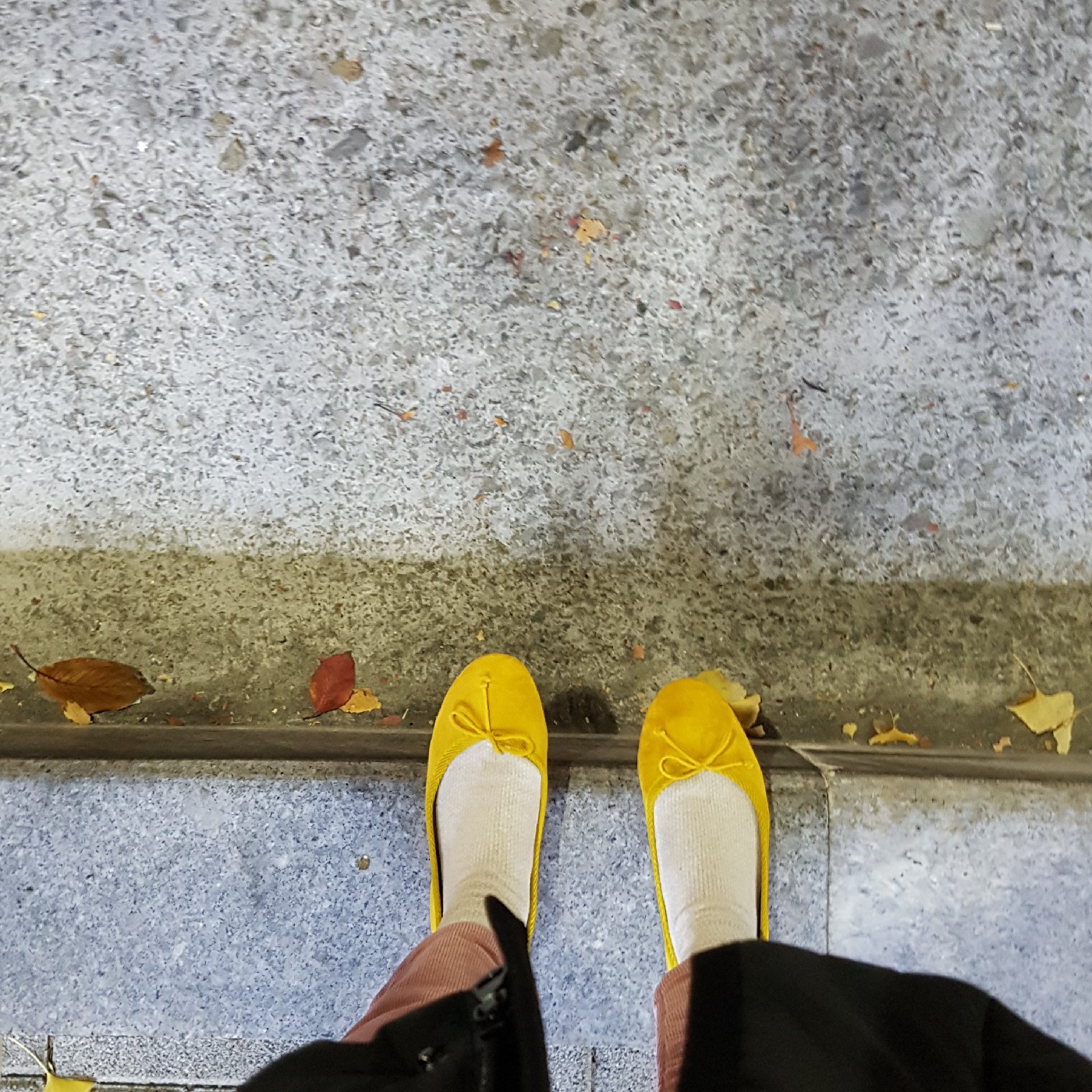 리뷰어 프로필