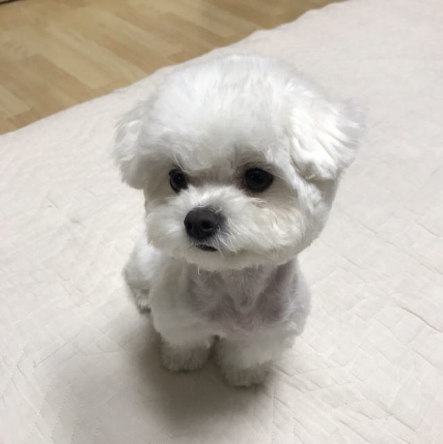 윤블리_ 프로필