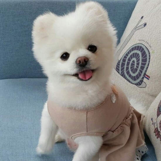 달뜌 프로필