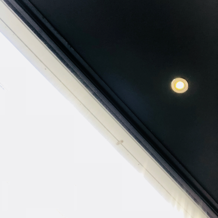 di_o 프로필