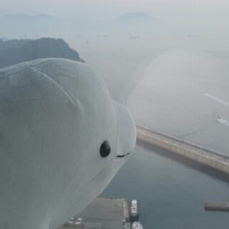 밍키미 프로필