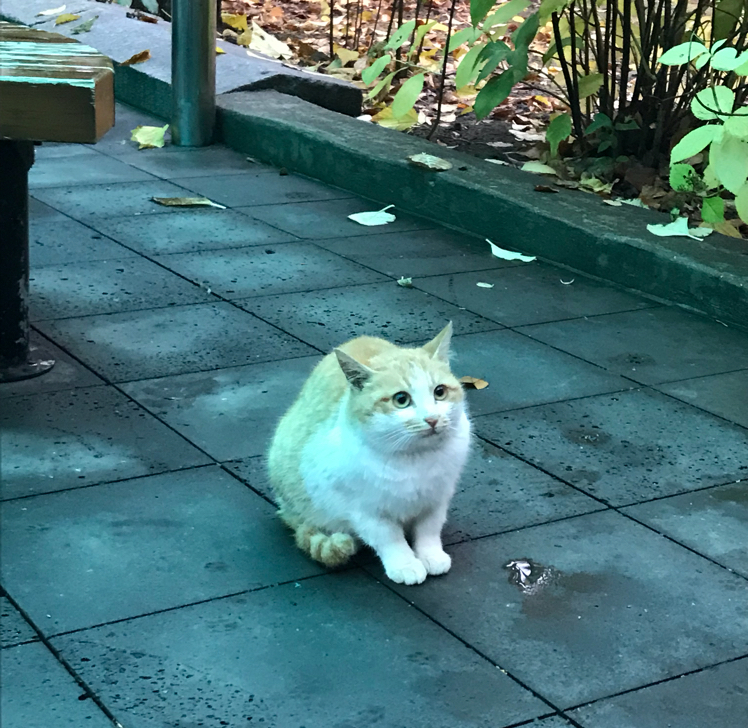 두앵 프로필