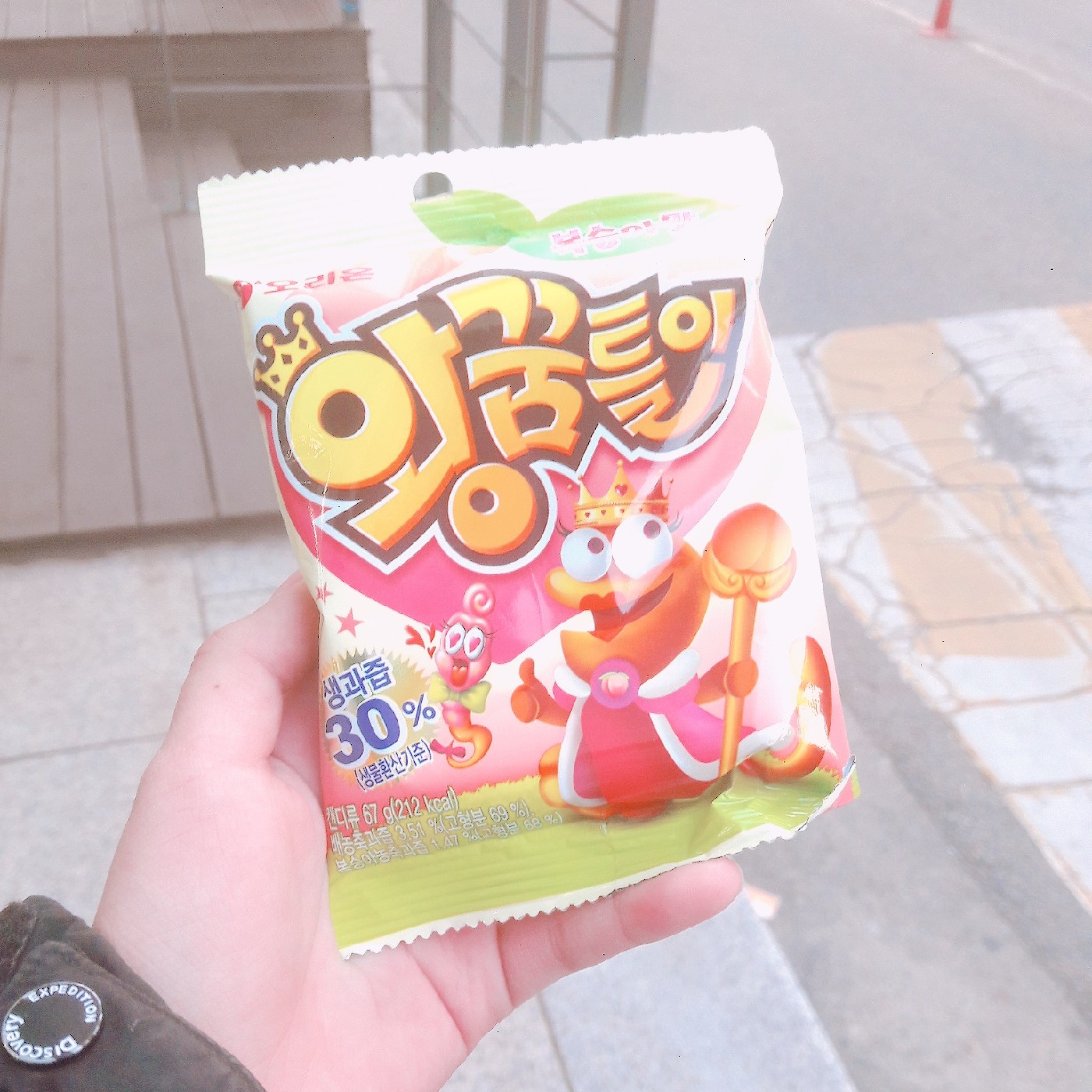 디효짱 프로필