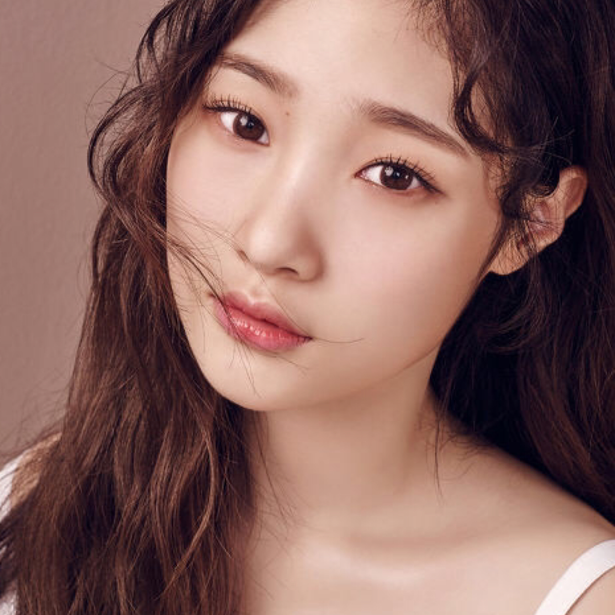 ashlee 프로필