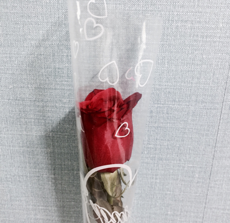 리뷰어 프로필