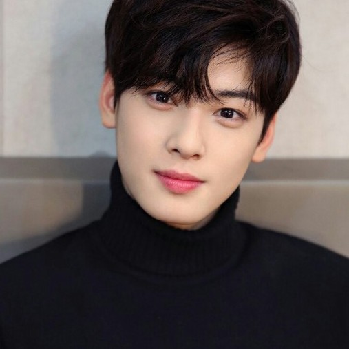 호호홀리데이 프로필