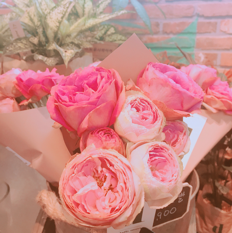 디자인픽 프로필