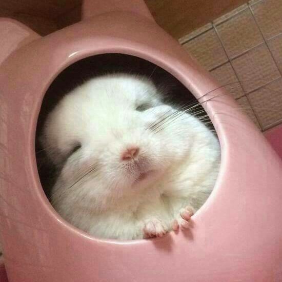 부2 프로필