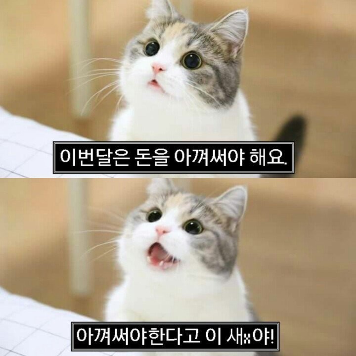 하난ㄴ 프로필