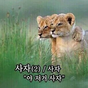 쫄쫄이 프로필