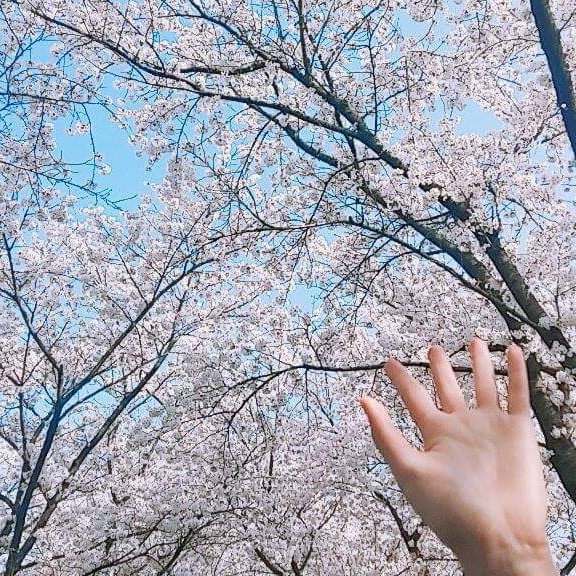 602= 프로필