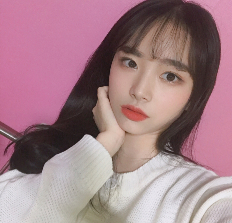 이또얌 프로필