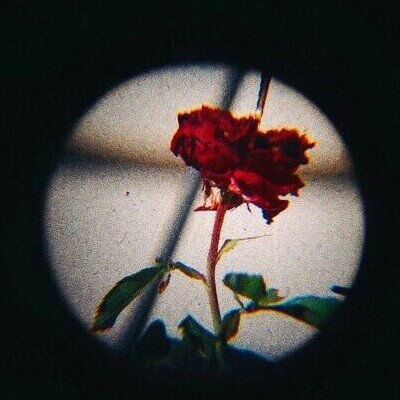 새붐이 프로필