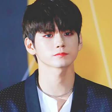 기니돼지꿀 프로필