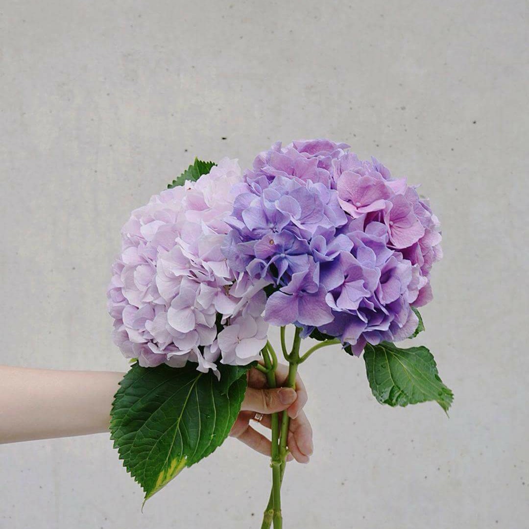 jongE 프로필