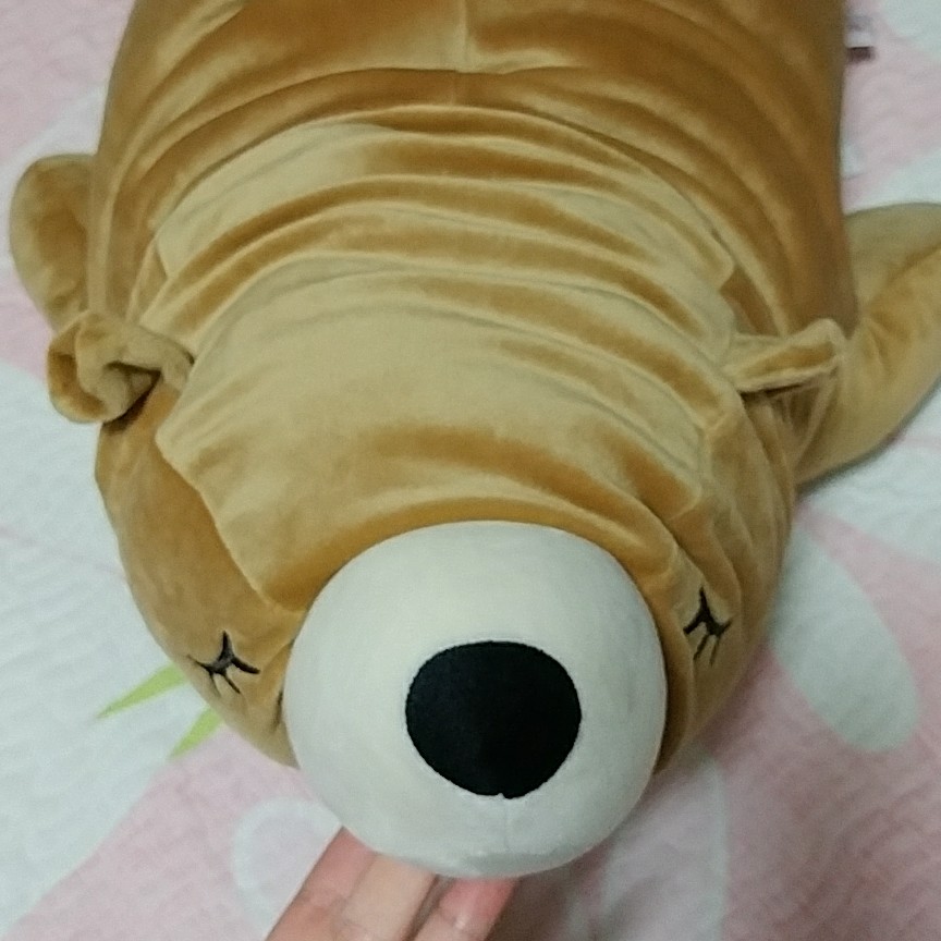k_jh_08 프로필