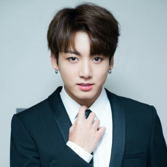 정국바라기 프로필