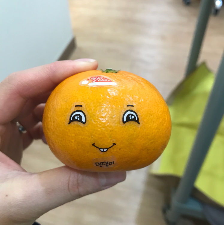 범이정이 프로필