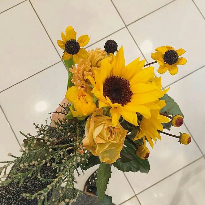 옐론 프로필