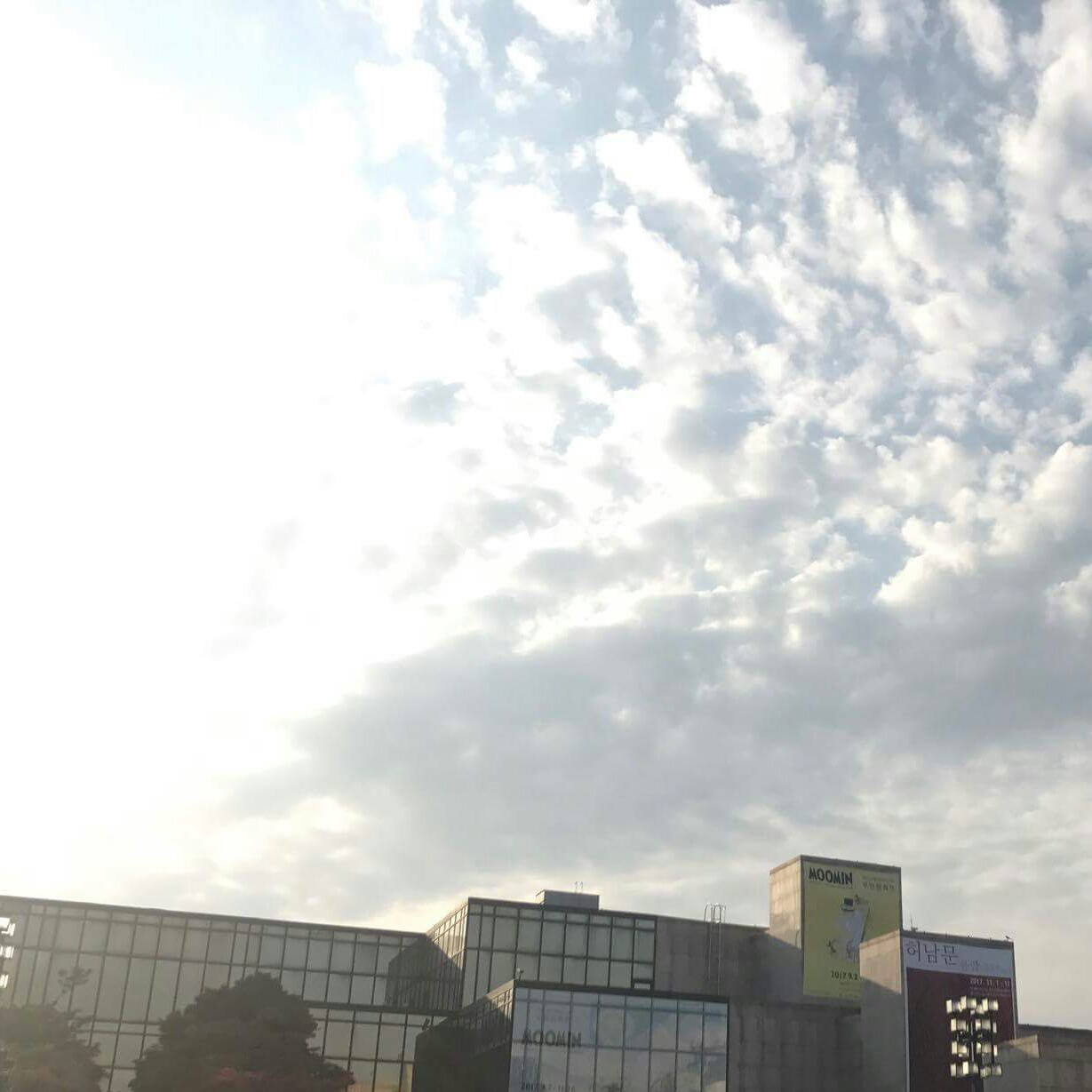 미슐랭 프로필