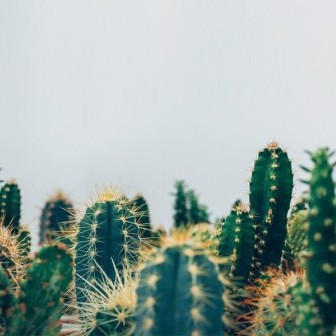 리뷰어 프로필
