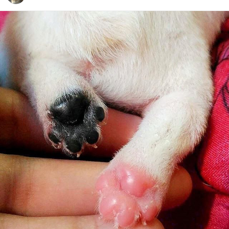 무늉 프로필