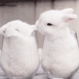 라잇세이버