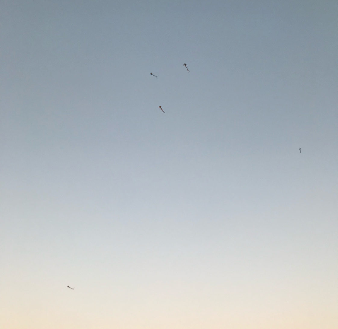 CWHY 프로필
