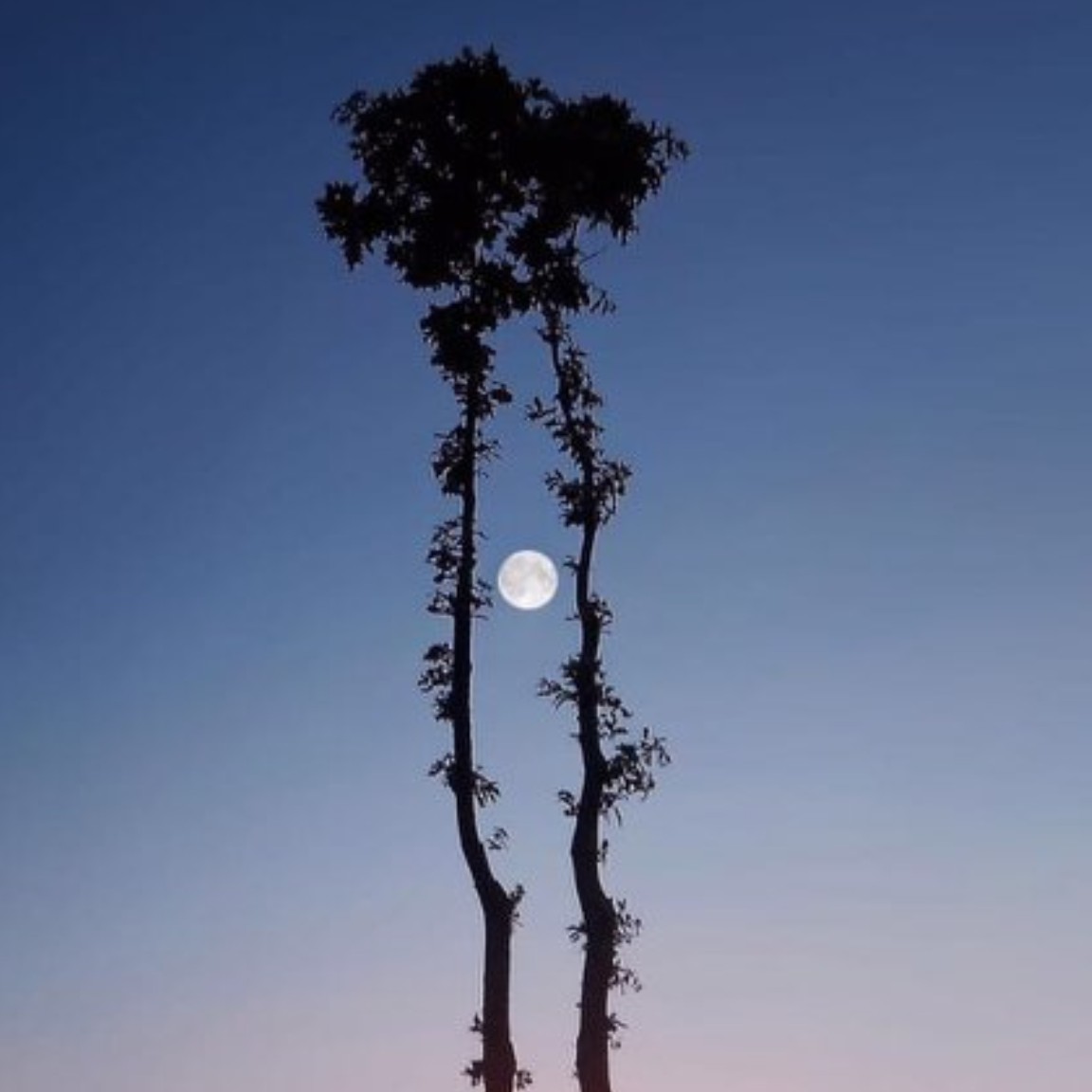 리뷰어 프로필