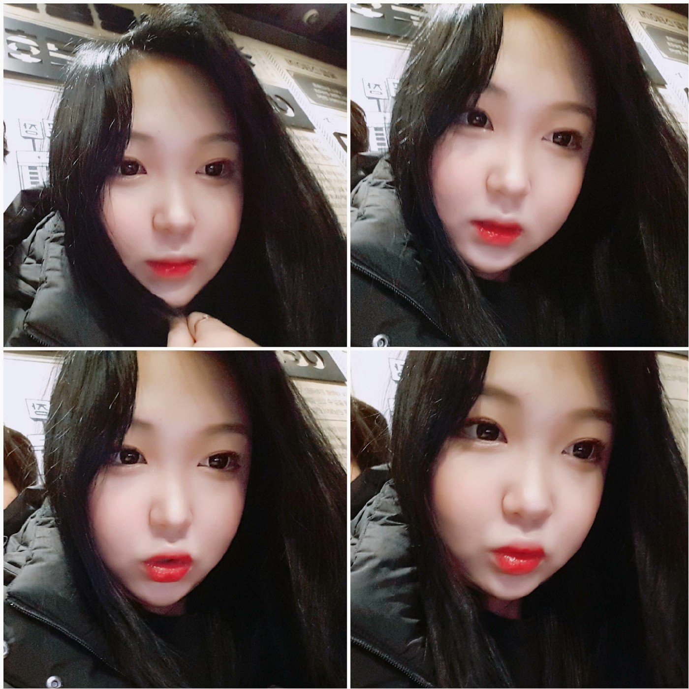 다몽이힝 프로필
