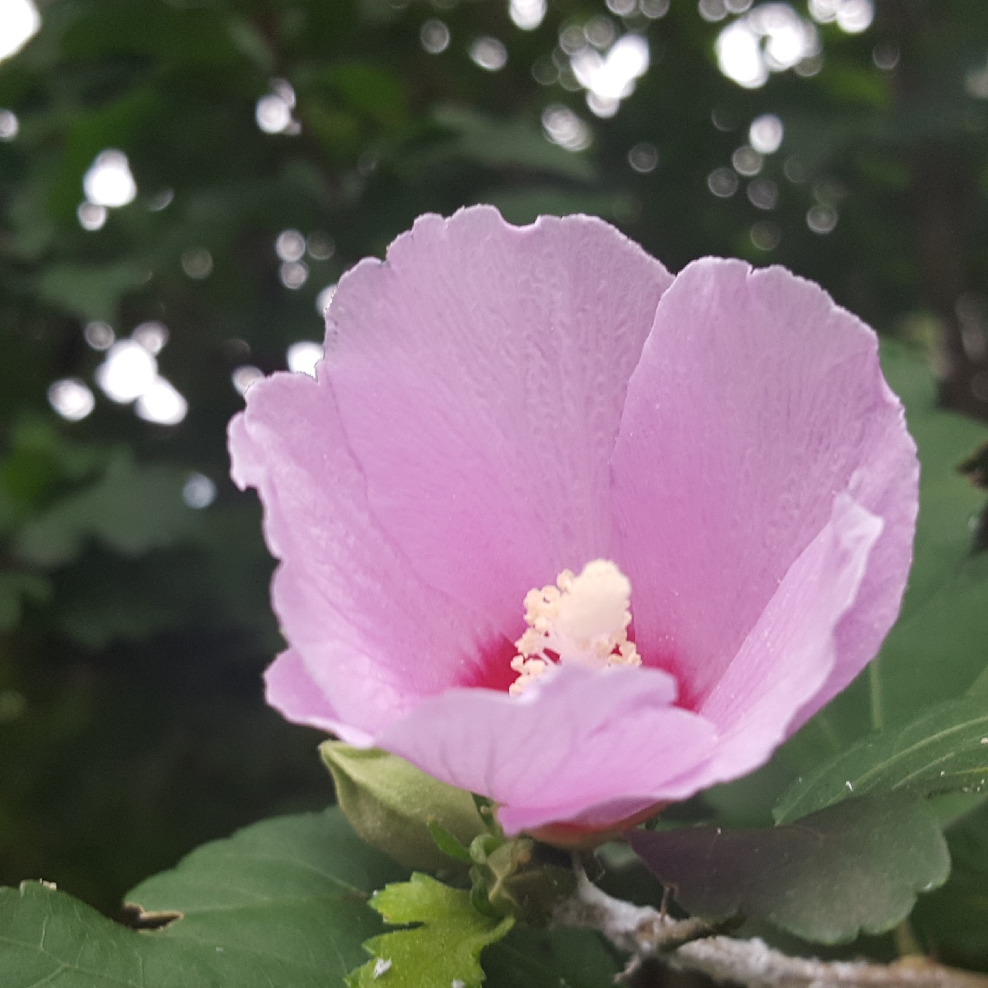 beauty15 프로필