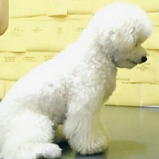 서율뿡 프로필