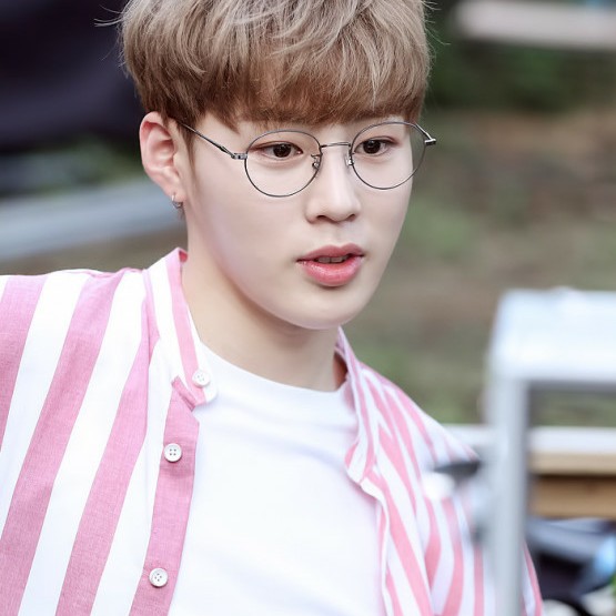 현재냥이 프로필