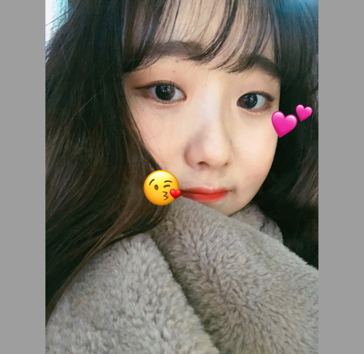세일러머큐리 프로필