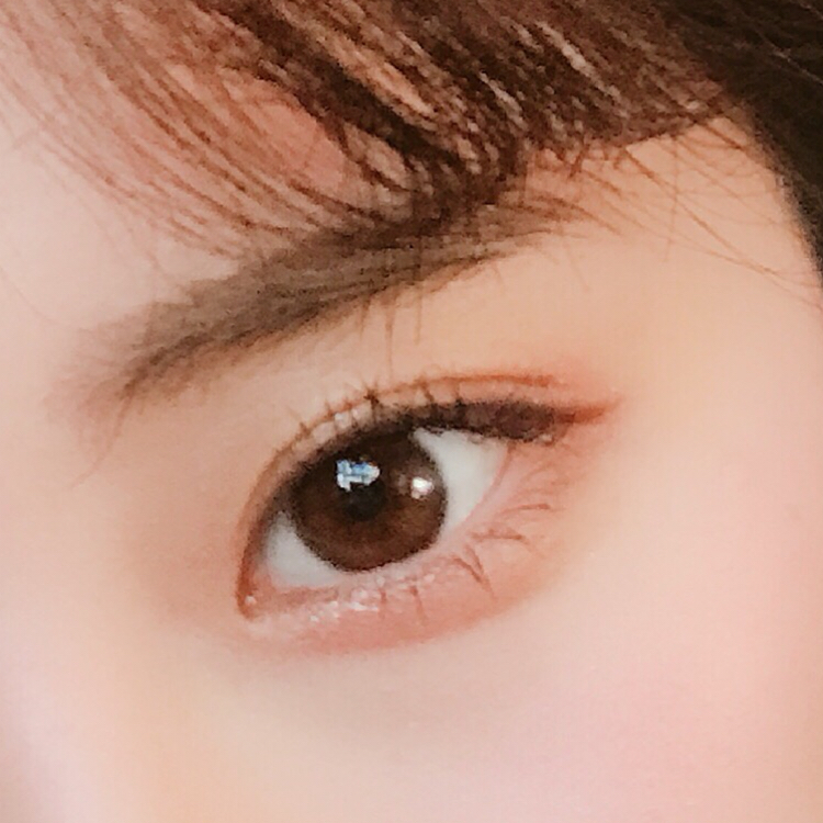 뉴어뉴 프로필