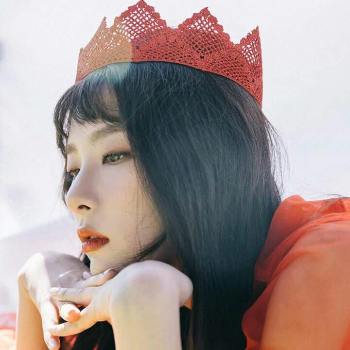 밍밍냥냥 프로필