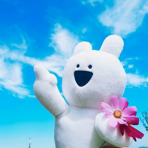 알팤하 프로필
