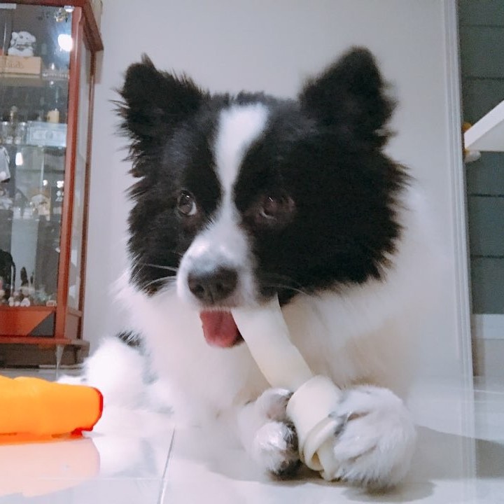 잘생긴게최고야 프로필