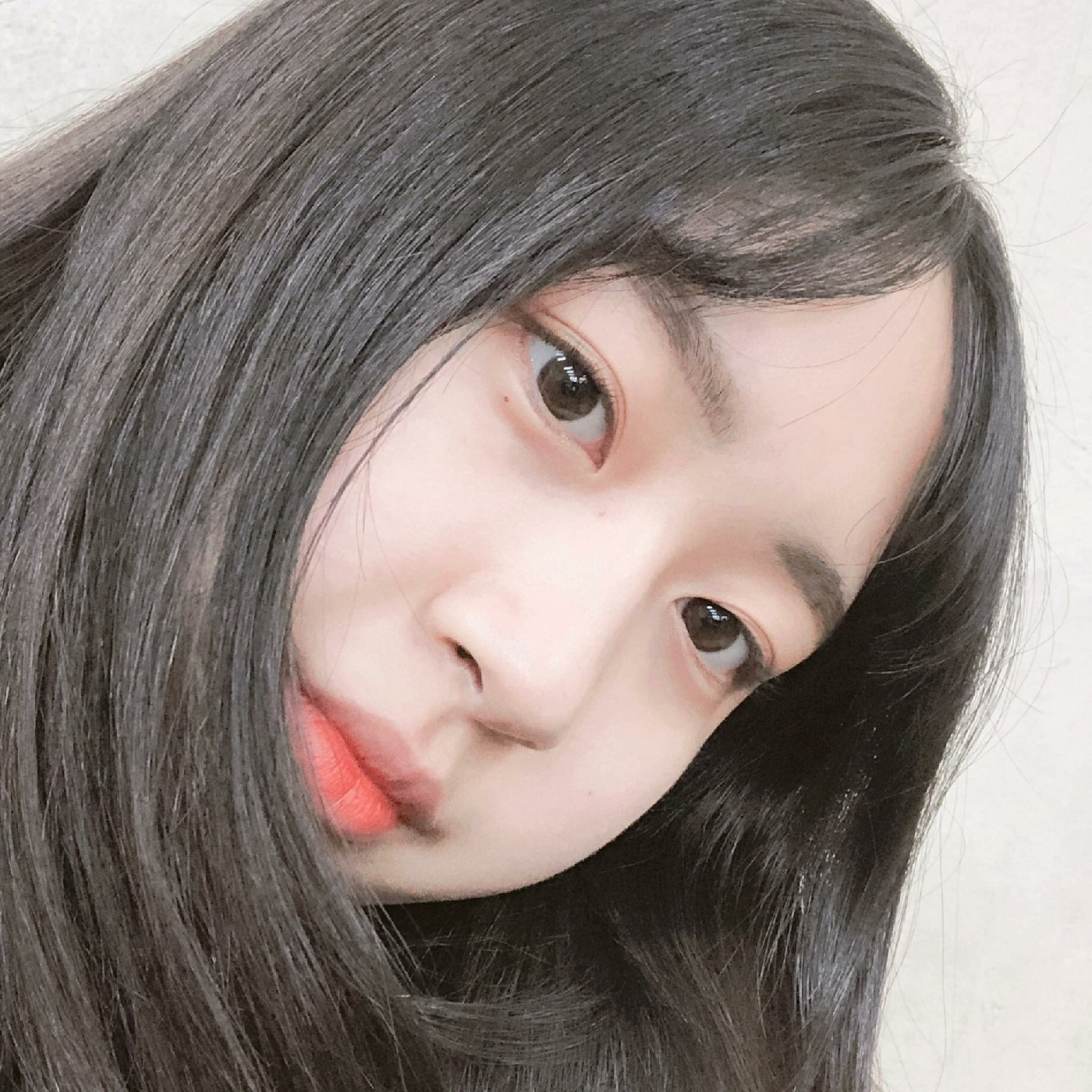 심심한캐럿 프로필