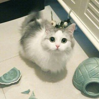 noxnoa 프로필