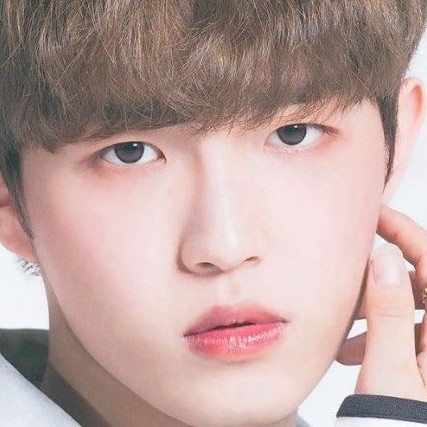 밈짐님 프로필